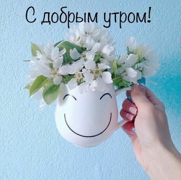 Сдобрым утром аторника