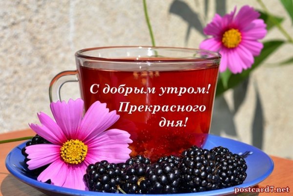 Доброе утро прекрасного дня