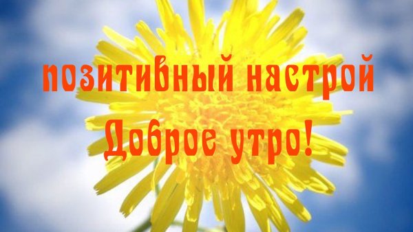Утренний настрой на день