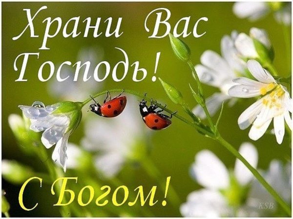 Доброе утро хорошего дня с Богом