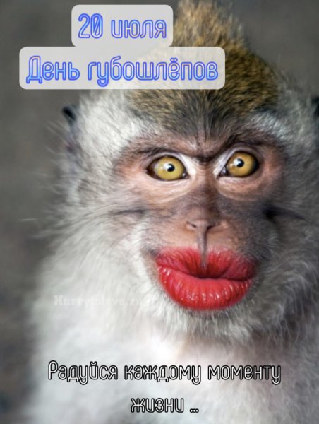 Фотографии праздника губошлепов