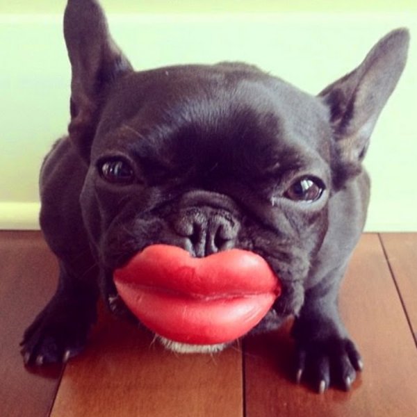 Международный день губошлепов