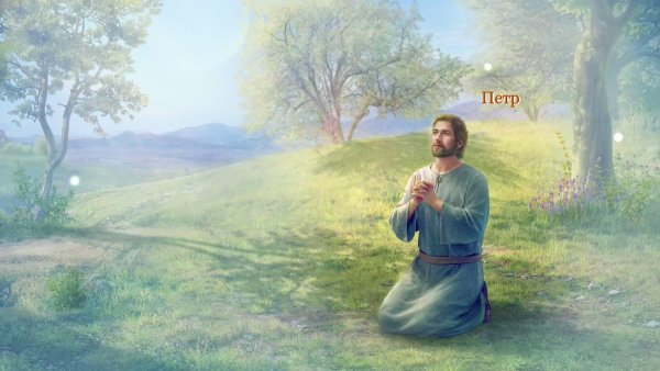 Честность в дружбе