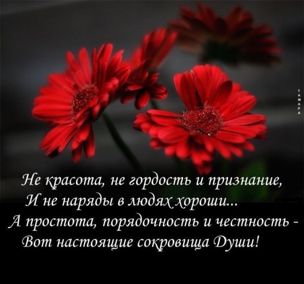 Сердечко честности