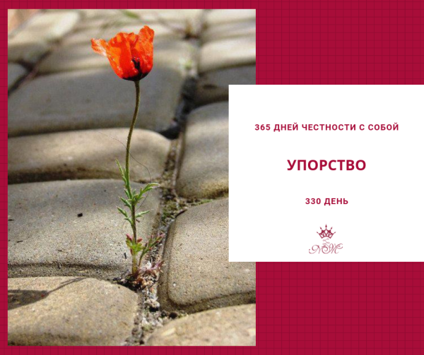 Уважая других уважаешь себя