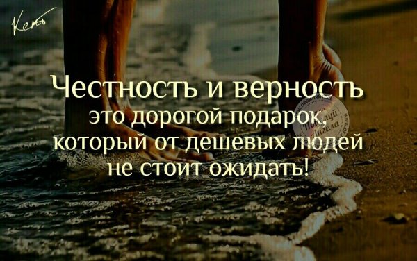 День честности