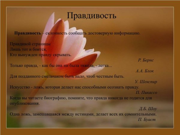 Всемирный день честности