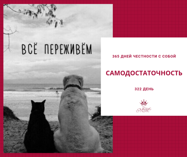 Честность юмор