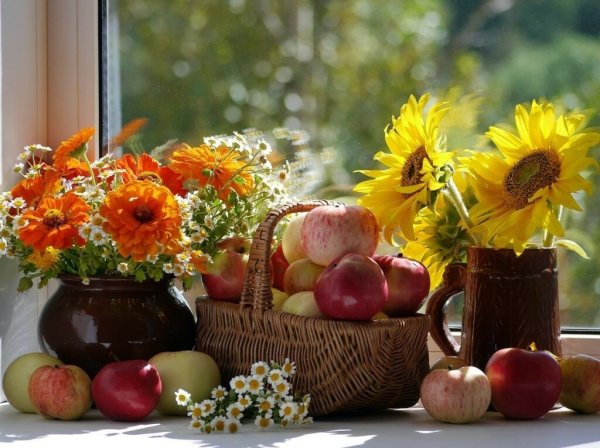 Августовское утро