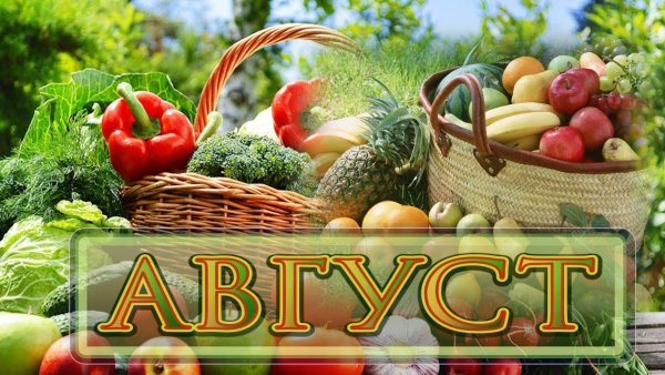 Август надпись красивая