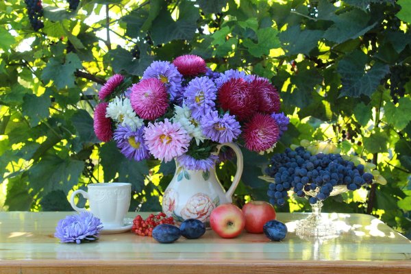 Осенние цветы