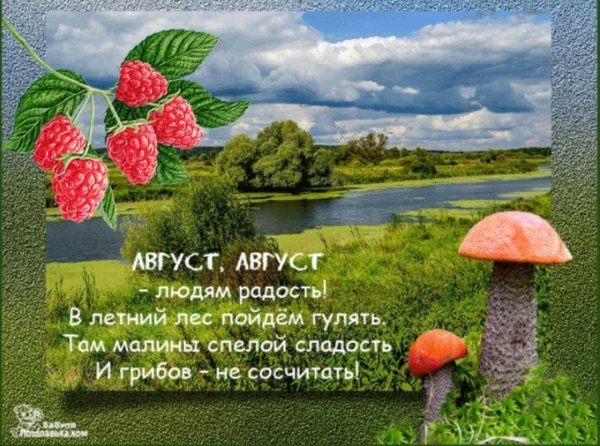 Открытки с Августом