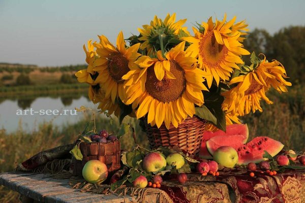 Август природа