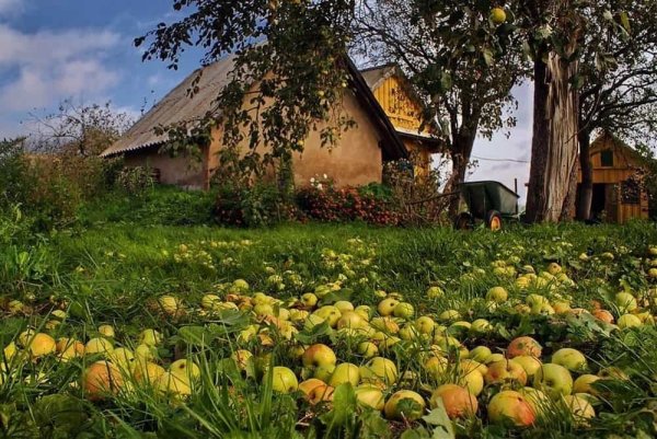Августовский пейзаж
