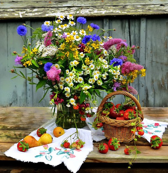 Полевые цветы в августе