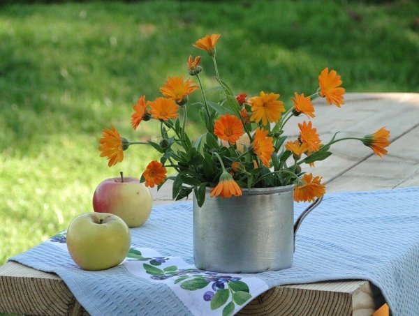 Последние теплые дни лета