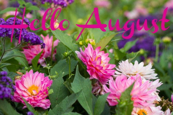 Здравствуй август