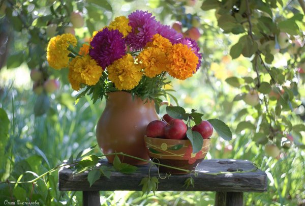 Осенние цветы в саду