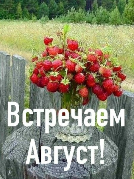 С первым днем августа