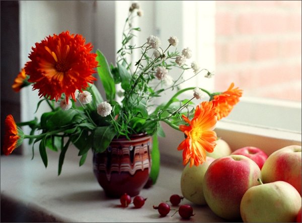 С добрым августовским утром