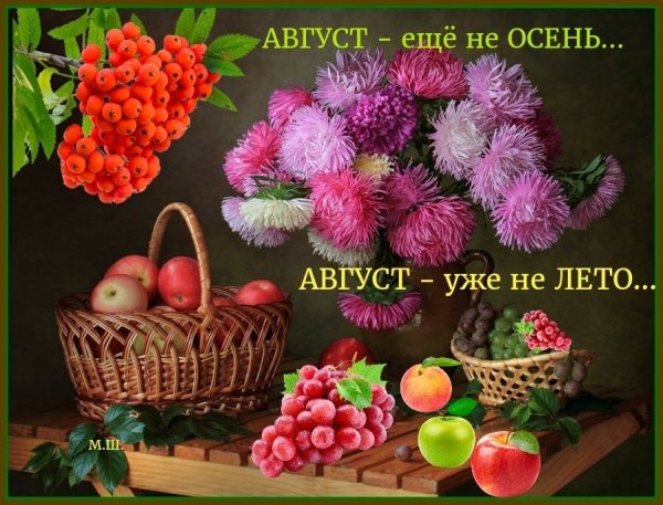 Август последний месяц лета