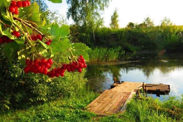 Августовская прохлада