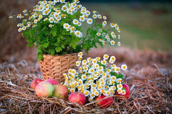 Благословенного дня и хорошего настроения