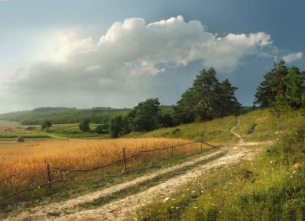 Августовский пейзаж