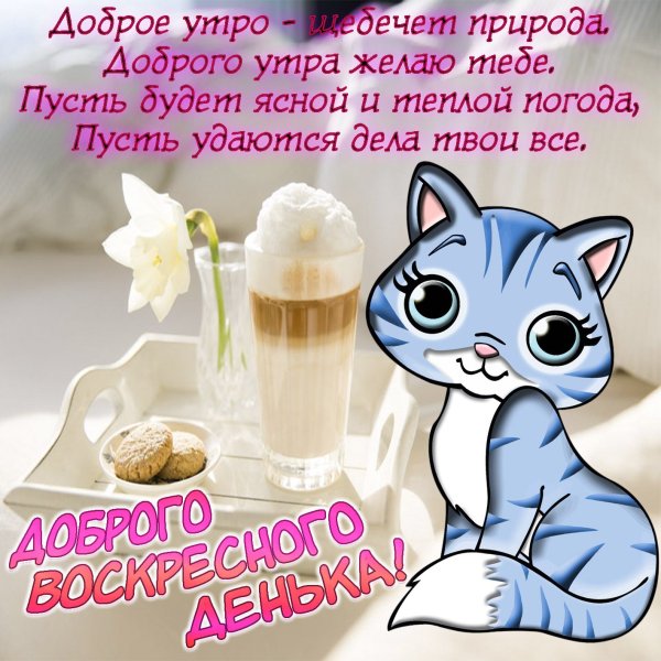 Поздравления с добрым утром прикольные