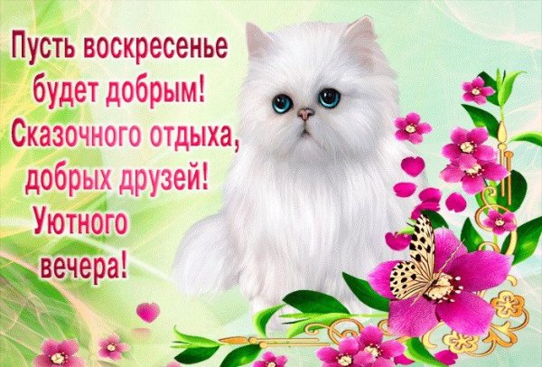 Поздравление с воскресеньем