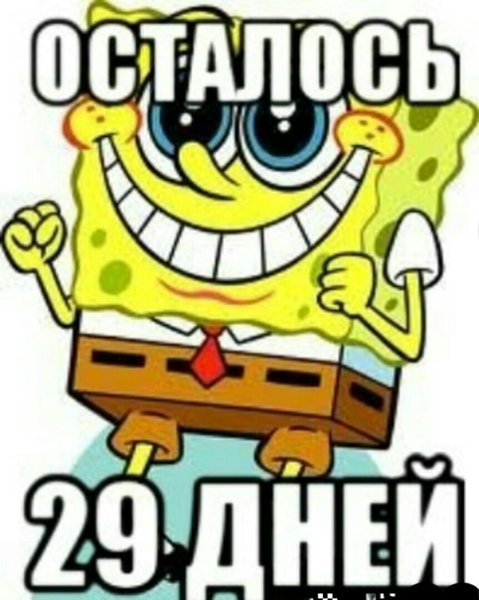 Мем сессия Спанч Боб