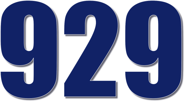 До нового года осталось 29 дней