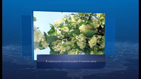 Ульянов день 4 июля