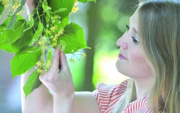 Ульянов день 4 июля картинки