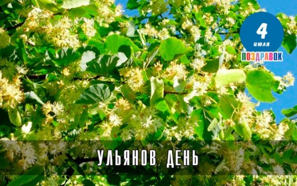 Картинка для детей около липы пила