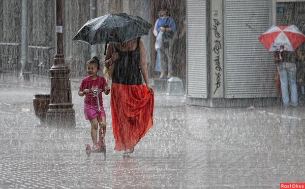 Дождливое лето прикольные