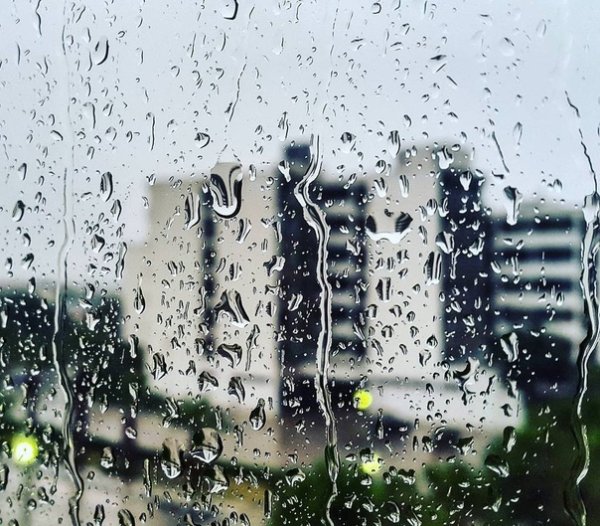 Небо плачет дождем