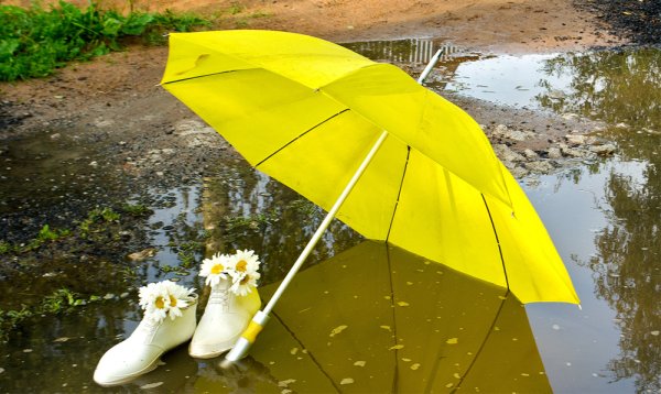 Хорошего настроения в любую погоду