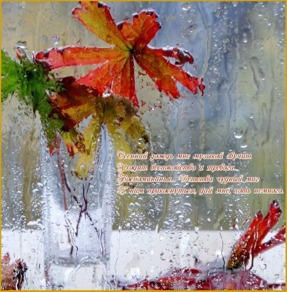 Хорошего настроения в дождливый осенний день