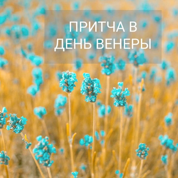 Пятница Венера