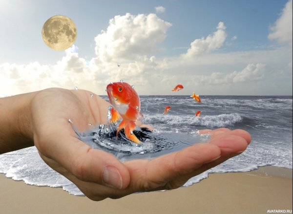 Золотая рыбка исполнение желаний