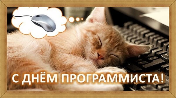 День программиста