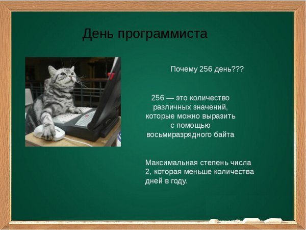 День программиста