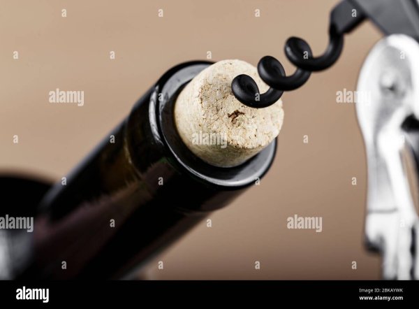 День рождения штопора