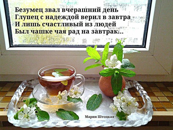 Безумец звал вчерашний день