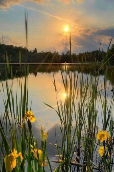 Пусть сегодня все будет хорошо