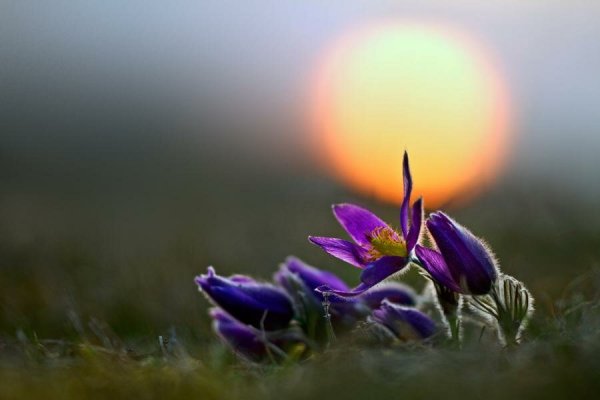 Мотиватор на вечер