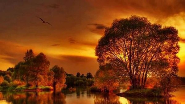 Вчера это история завтра это загадка а сегодня