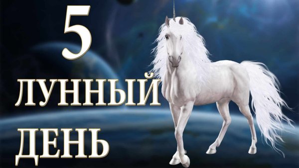 Символ 5 лунного дня