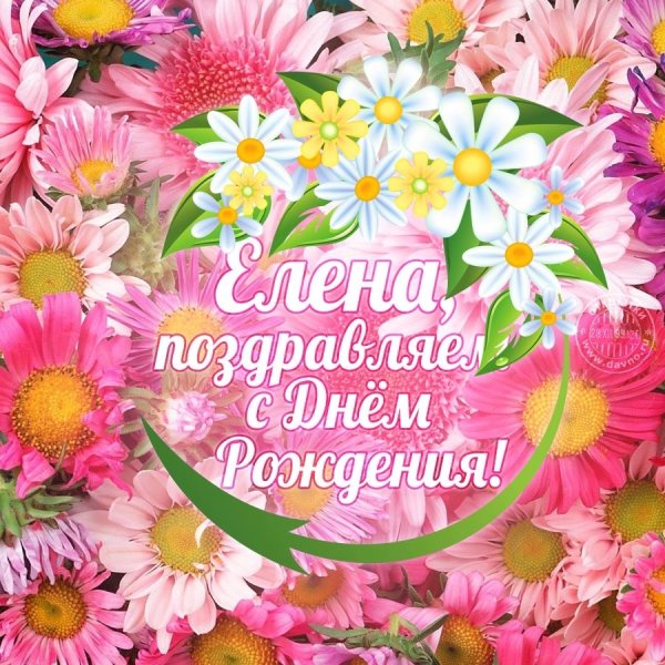 С днём рождения Елена